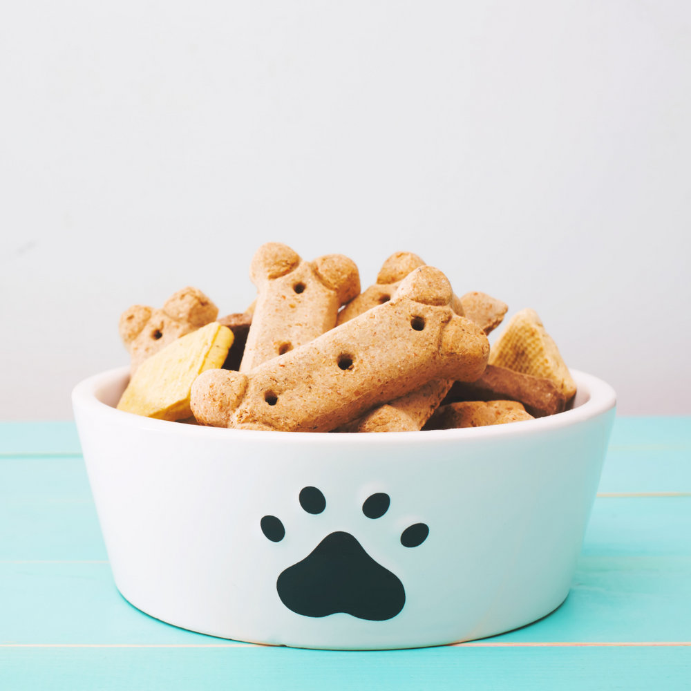 3 Delicious and Nutritious Treats That Will Have Your Dog Coming Back For More!!
